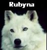 Rubyna Amarante II, Silver Mist