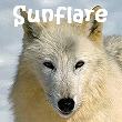 Sunflare Amarante, Guardian Silver Mist