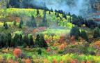 Zephyr Hills