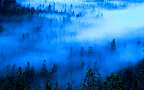 Mysticia