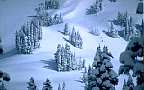 Snow is sprinkled all over the trees