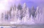 And deeper north, the trees are covered with snow.