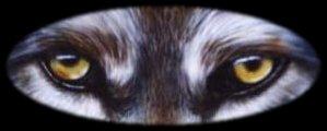 Can you see into these eyes?