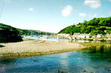 The harbour at Fishguard Lower Town is lovely although well populated with sailing yachts and Mandarin Ducks