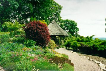 The Thatch Roofed Tea House