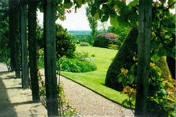 Looking out from the Tea House