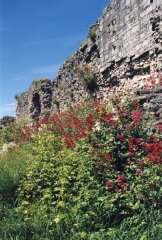 Castell Dinbych's Great Gatehouse