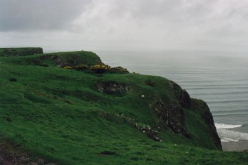 Sheep grazing on the lush grass atop the cliff