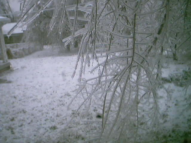  Amazing, isnt it?