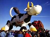 CLICK HERE to go to the "2002 Balloon Fiesta Album"