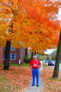 CLICK HERE to go to the "Wisconsin Autumn Album"
