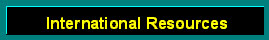 International Organizations Icon