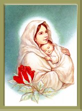 Mystical 
Rose
