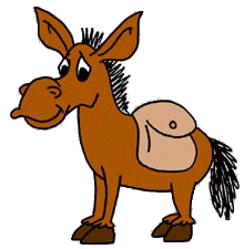 donkey