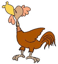 rooster
