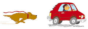 dog chasing car