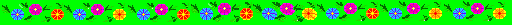 row of flowers