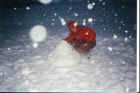 Despo with snowman