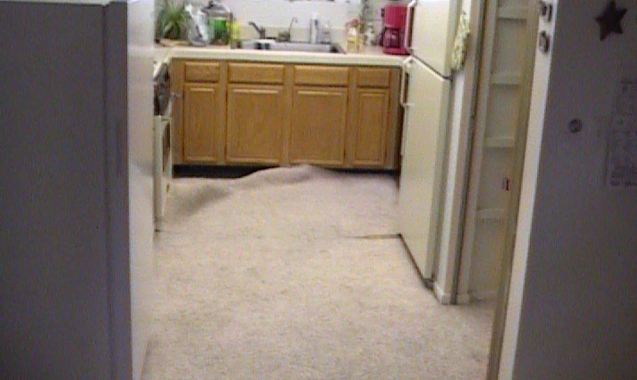 Tile is perfect in any kitchen!