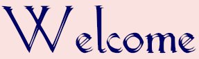 teddy welcome