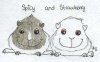 'Spicy' and 'Strawberry' by Alix