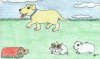 'Hoppy,' 'Sparkle,' 'Spicy,' and 'Strawberry' by Alix