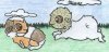 'Shakira' and 'Spicy' by Alix