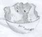 'Rosie' and 'Rusty' by Alix