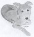 'Sparkle' by Alix