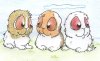'Spicy,' 'Shakira,' and 'Strawberry' by Alix