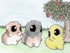 'Shakira' with Alix's 'Bazz' and 'Phoebe' by Alix