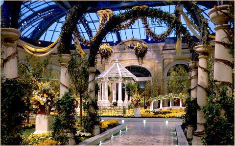 gardenroom.jpg (63316 bytes)