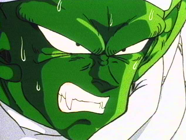 piccolo8.jpg