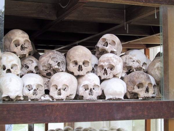 a table of skulls