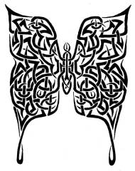 TRbutterfly
