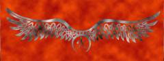 wings