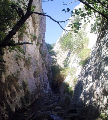 Las Palancas