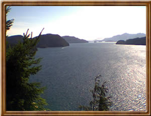 Cougar Creek