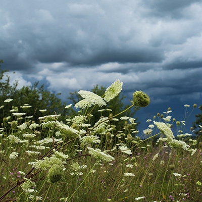 Queen Ann's Storm