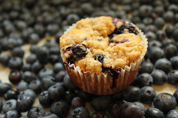 Blueberry Muffin
