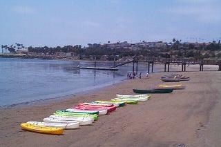 A line of boats