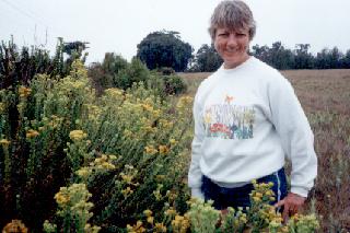 In the Marsh