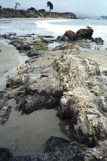 The rocky coast