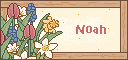 Noah