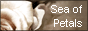 Sea of Petals - My Collective