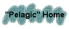 "Pelagic" Home