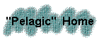 "Pelagic" Home