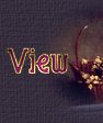 View My Guest Book