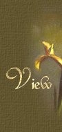 View My Guest Book