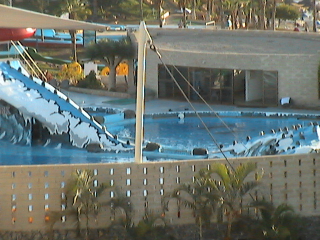 View of Dolphinarium from 4e Oasis balcony